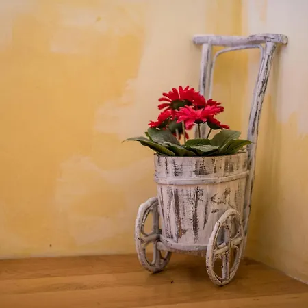 In With Wifi Case de vacanță *